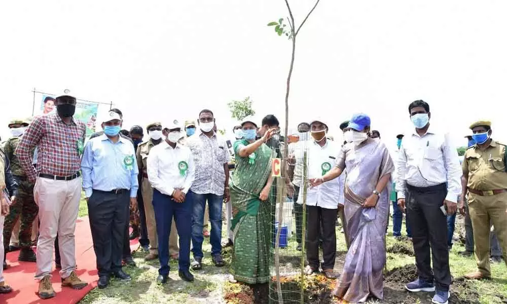Home Minister Mekathoti Sucharita planting saplings under Janananna Pacha Thoranam programme at Etukuru in Guntur district on Wednesday