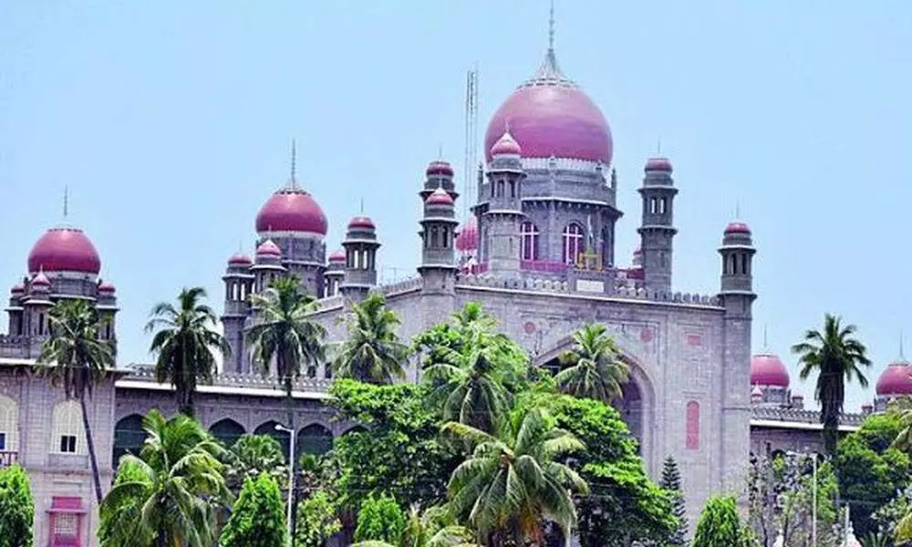 Telangana High Court to watch Bad Boy Billionaires