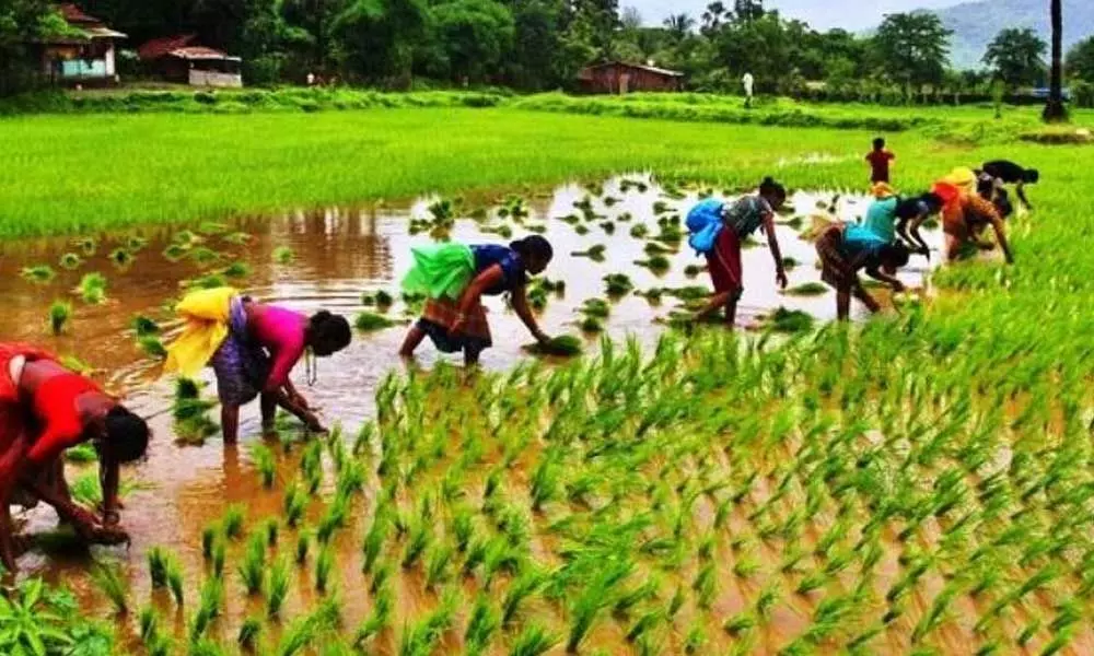 Agriculture department, next in the list for revamp by Telangana Government