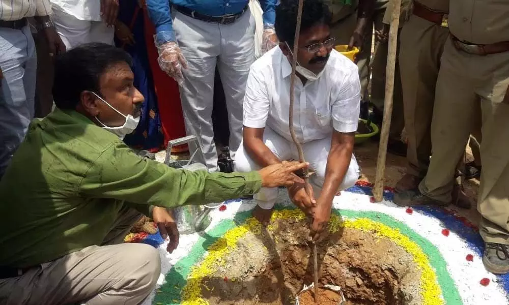 Minister Dr Audimulapu Suresh and Collector Dr Pola Bhaskara planting a sapling