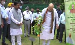 Amit Shah launches Plantation Campaign-2020