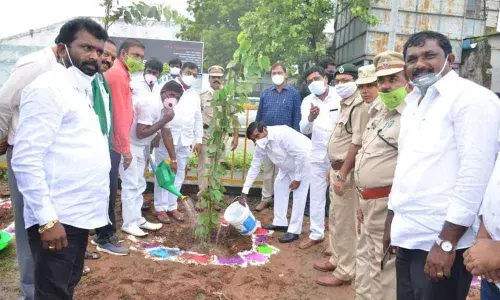 Minister G Jagadish Reddy watering a planted sapling in Penpahad on Thursday