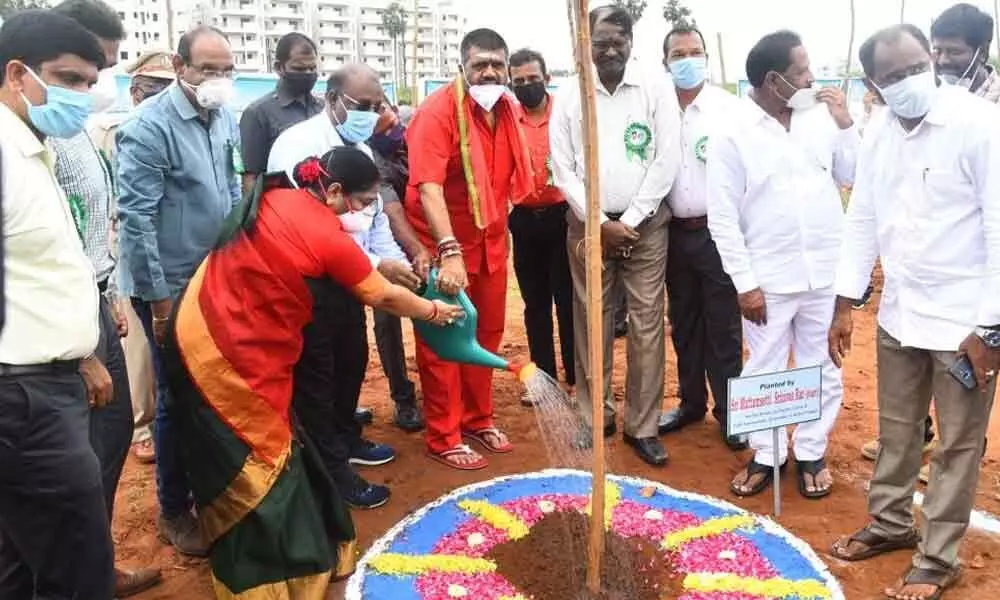 Tourism Minister Muttamsetti Srinivasa Rao planting saplings on Andhra University campus in Visakhapatnam on Thursday.