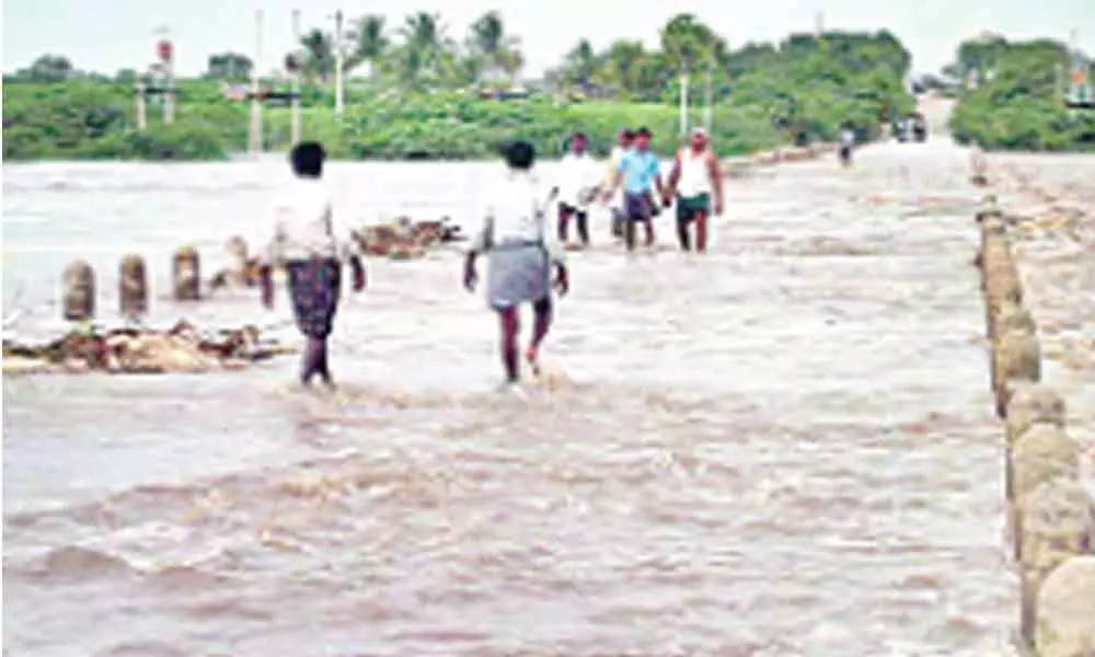 Heavy rain ruins groundnut, cotton crops