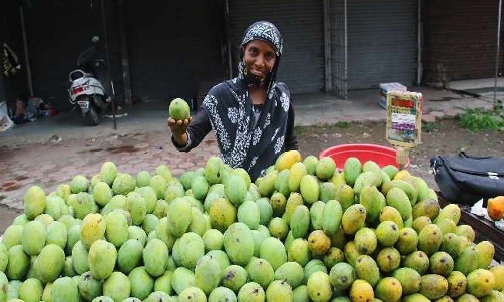 36 year old Woman With PhD Award Sells Fruits Know Why  36-year-old-woman-with-phd-award-sells-fruits-know-why