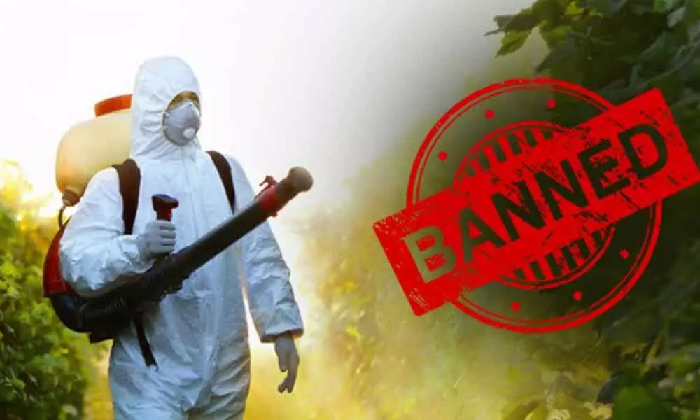 Given the pandemic-induced challenges faced by both, farmers and agricultural input suppliers, the government is likely to implement the final ban only from the next fiscal, that too in a phased manner  - Crisil