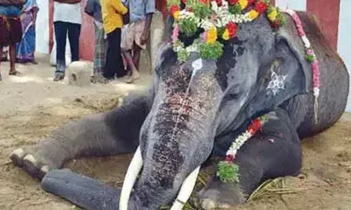 Representational Pic