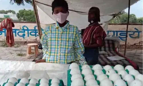 Flat, free education for Indore egg seller whose cart was overturned