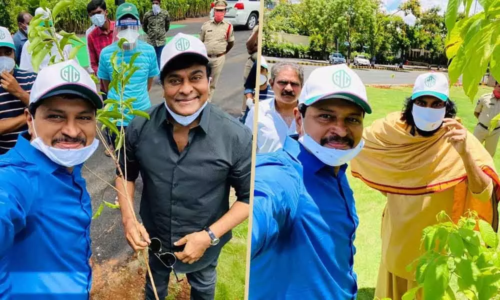 Tollywood actors Chiranjeevi and Pawan Kalyan (right) participating in one lakh sapling plantation programme at Jubilee Hills and Banjara Hills respectively along with TRS MP J Santosh Kumar on Sunday