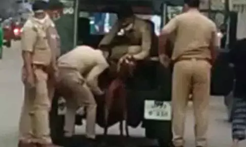 Goat Arrested by Kanpur Police