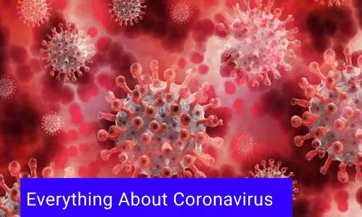 Everything About Coronavirus