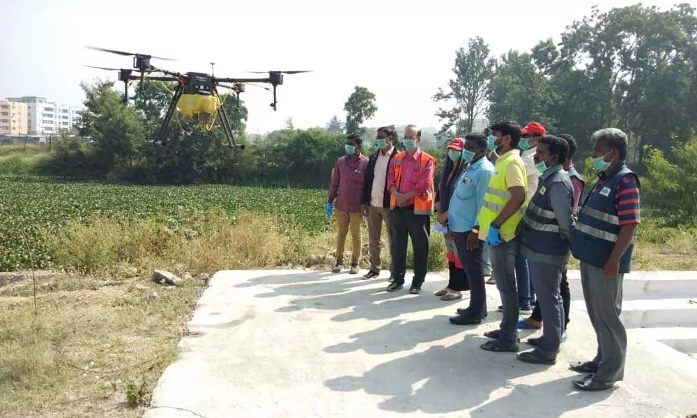 GHMC appoints 13 new assistant entomologists