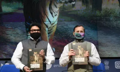India ready to take leadership role, work with other tiger range nations: Prakash Javadekar