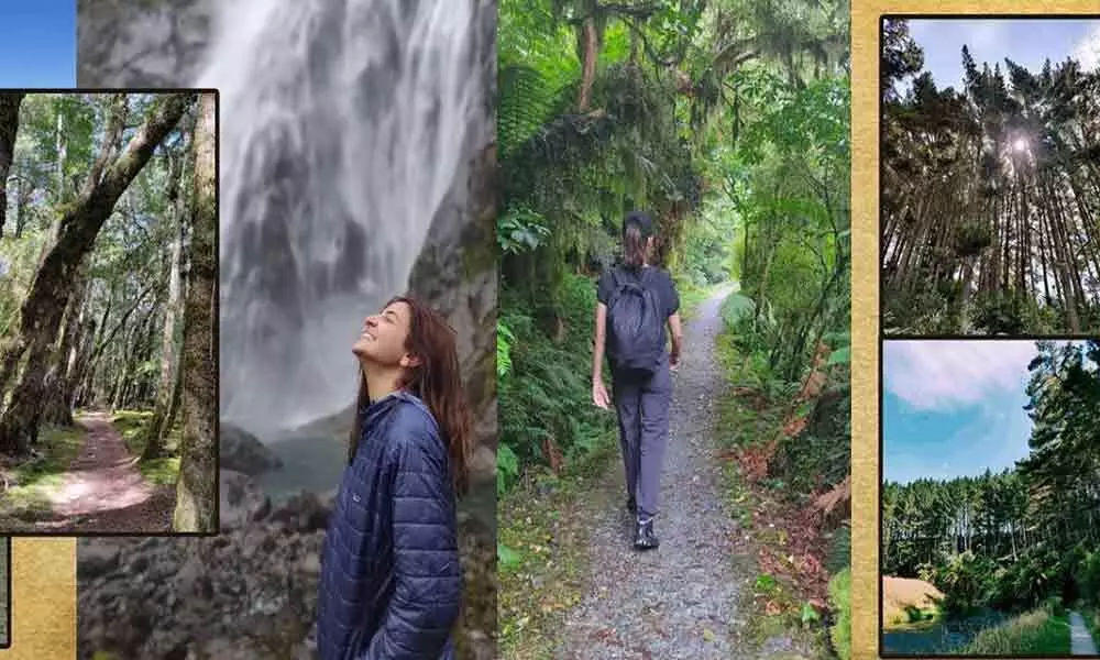 Anushka Sharma Instagram post on World Nature Conservation Day