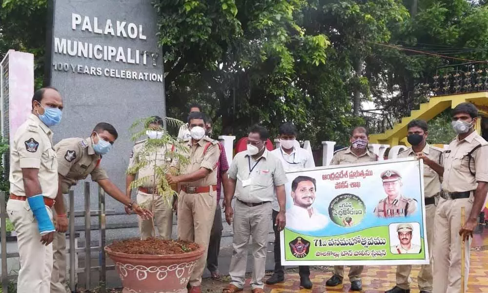 Cops planting saplings at important junctions in Palakol town on Tuesday