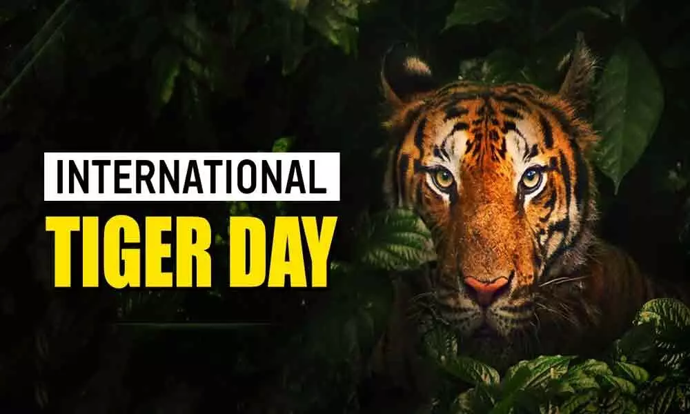 International Tiger Day 2020