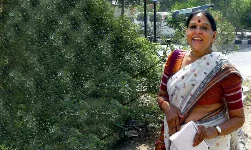 Ex-Samata Party chief Jaya Jaitley, two others sentenced to four years imprisonment in corruption case