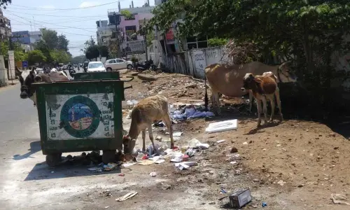 Poor sanitation conditions