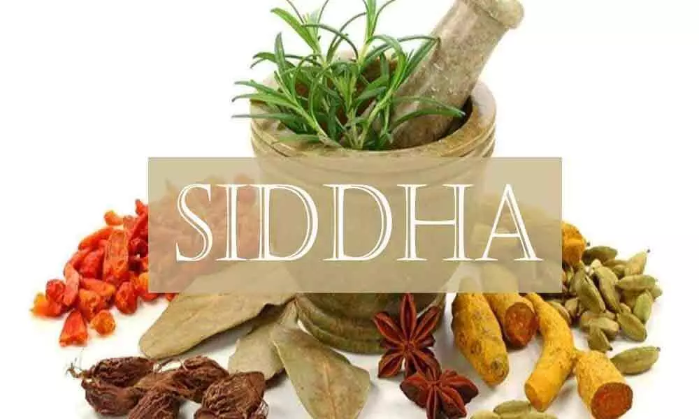 Siddha medicine cures over 2000 Coronavirus patients in Chennai