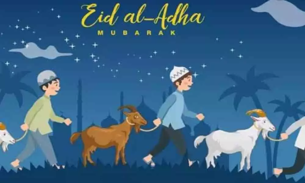 Bakrid 2020: History, Significance and Understanding Qurbani