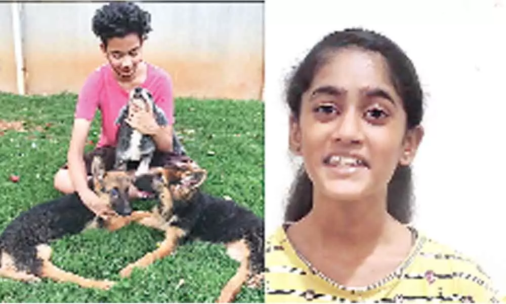 Hyderabad: Teenager raises funds to feed stray dogs in times of pandemic