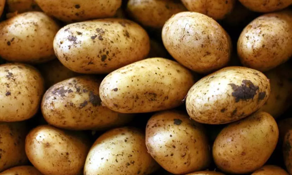 potatoes price