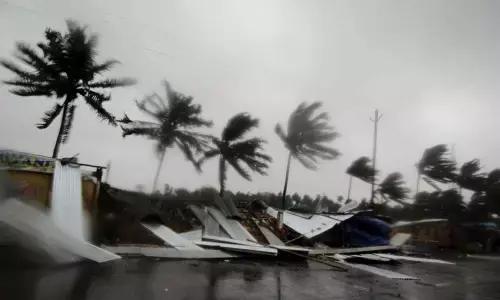 Budding bureaucrat’s dates with disasters