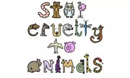 Hyderabad: Members of Parliament have urged Central government to Act strongly against animal cruelty