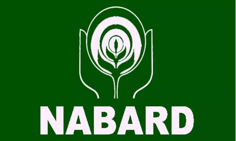 NABARD, NHB get Rs 10,000 cr liquidity facility from RBI