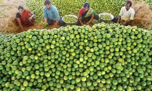 Andhra Mausambi floods Chennai market