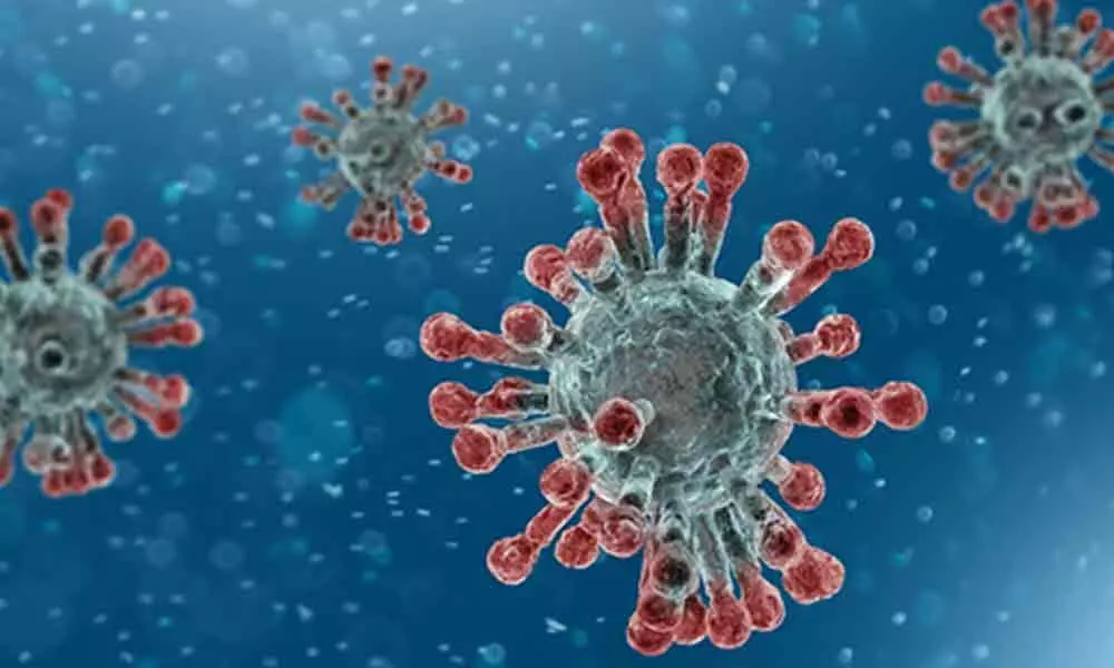 Coronavirus in India