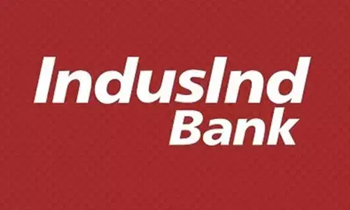 IndusInd bank picks stake in Eveready, McLeod Russel