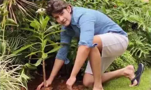 Mahesh Babu accepts Green India Challenge
