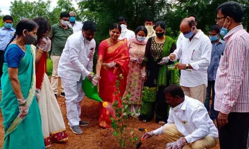 Saplings planted at Bagicha Agricultural farm