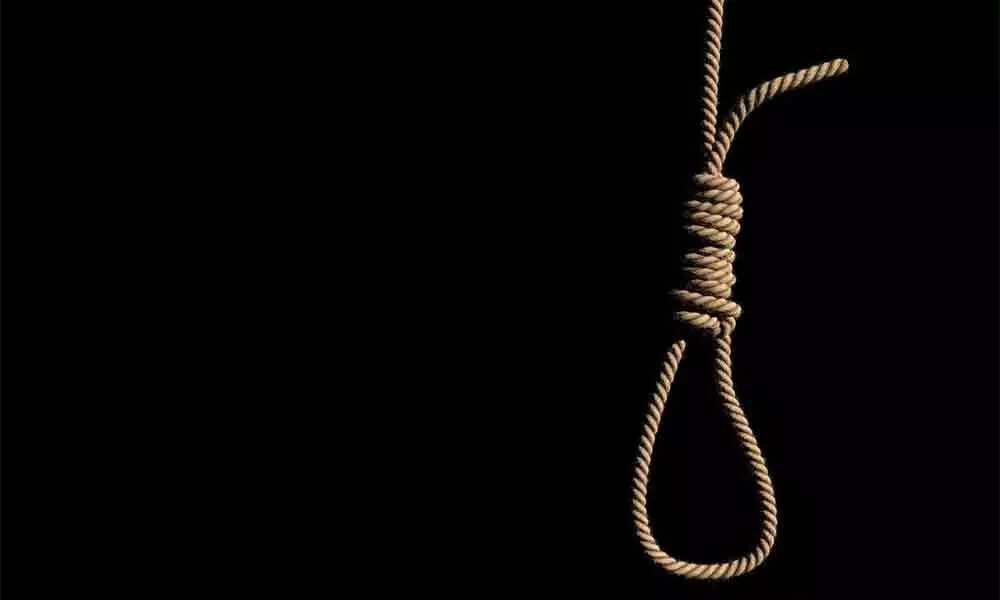 Lawyer found hanging from tree in UP district
