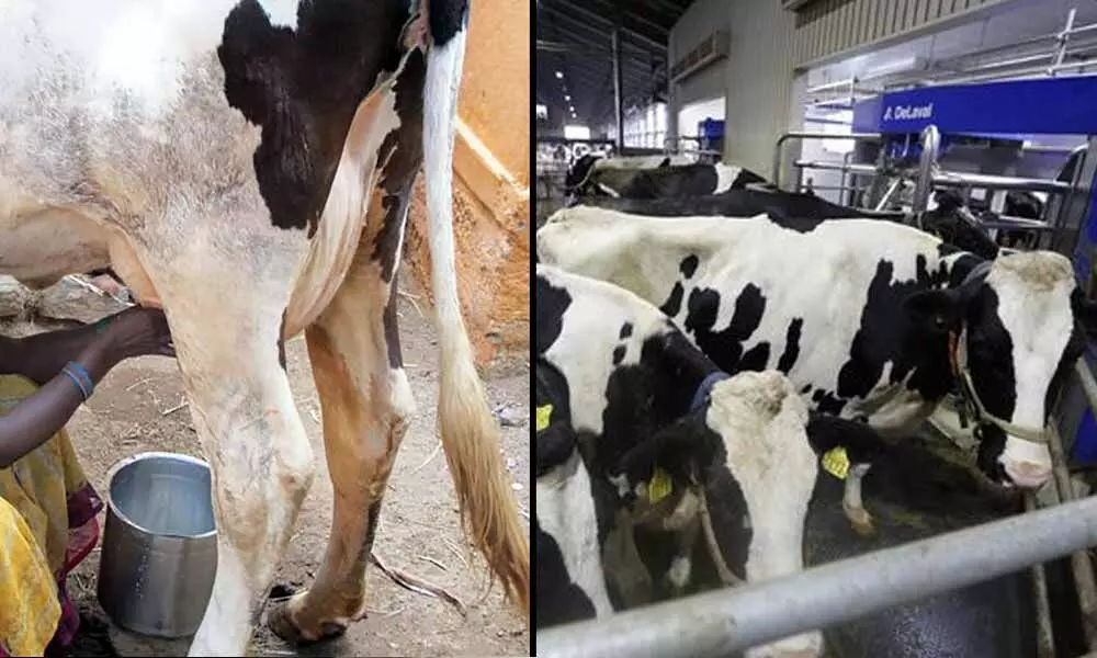 Milk demand stagnates in Tamil Nadu