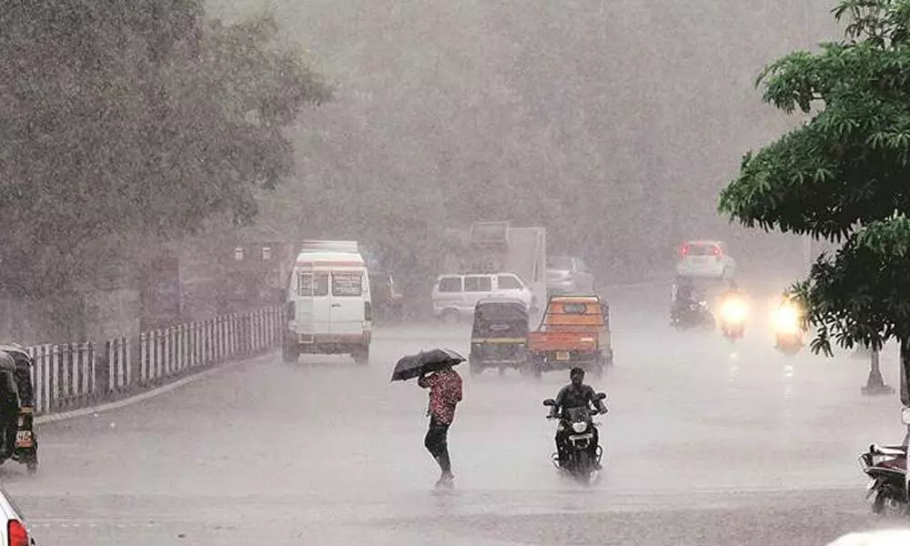 Nellore gets excess rainfall in SW monsoon
