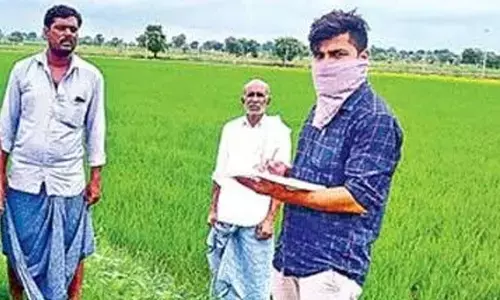 AEO registering crop cultivation details in Kamareddy district