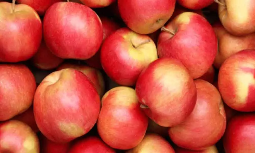 Low harvest makes Himachal apple business fruitful!