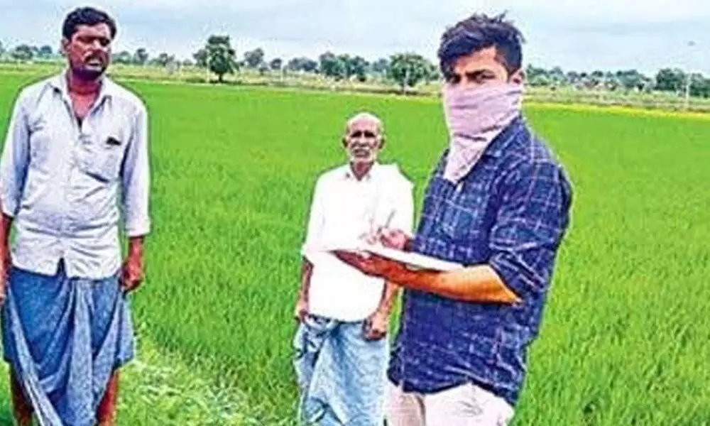AEO registering crop cultivation details in Kamareddy district