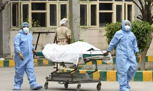 non-coronavirus body