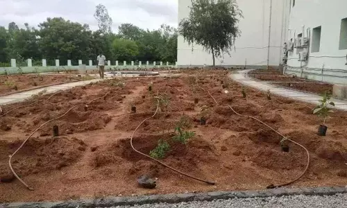 Herbal garden comes up at University of Hyderabad