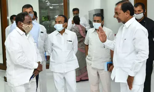 Eco-friendly companies