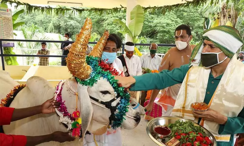 Gaiety marks Krishnashtami celebrations