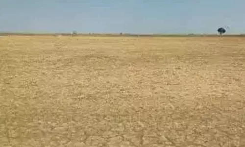 land prices in Andhra Pradesh