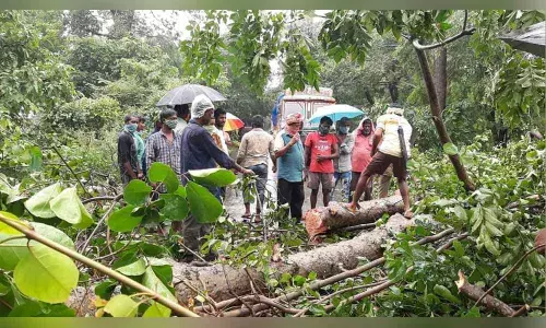 Downpour drenches Warangal, water bodies swell