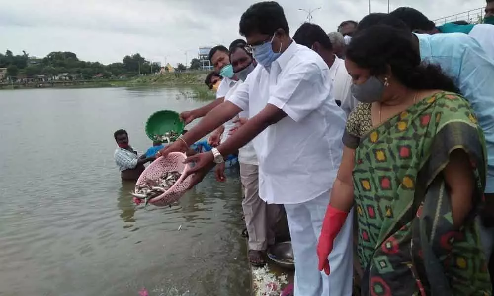 MLA Hanmanth Shinde along with Fisheries District Officer Purnima releasing fish seed in the Kammari tank at Bichkunda mandal headquarters on Thursday