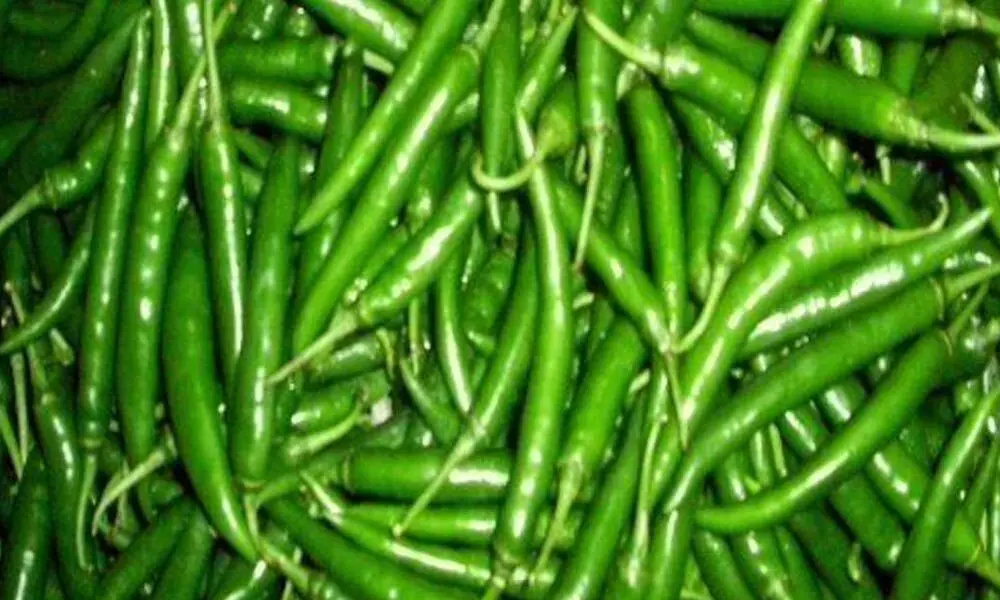 Green chillies become too spicy to taste