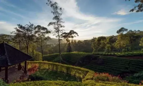 New Sri Lankan government aims to boost exports