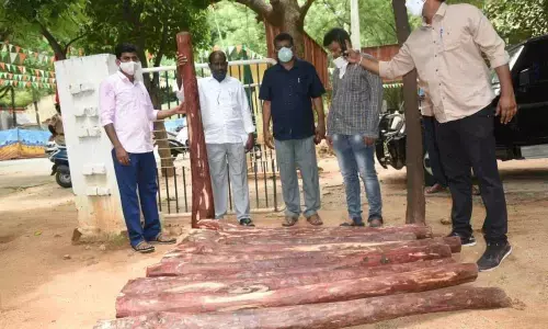 Task Force seizes 38 red sanders logs, 3 held